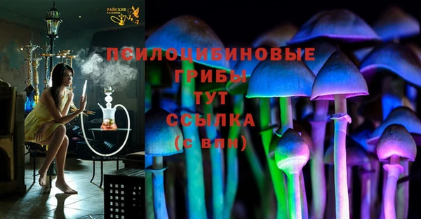 apvp Армянск
