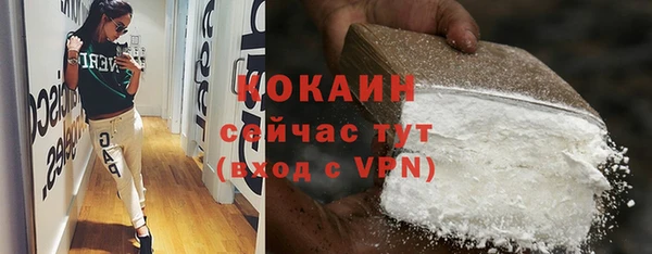 прущие грибы Аркадак