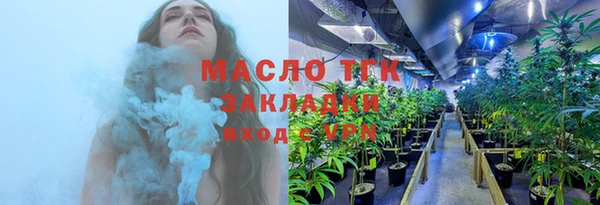 прущие грибы Аркадак